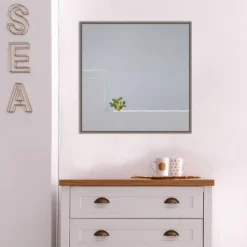 22" X 22" Solo Succulent By Rolf Endermann Framed Canvas Wall Art Gray Wash - Amanti Art -Home Furniture GUEST 02e0e5a3 8e99 427c a559 ad5ea08a171d