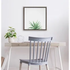 16" X 16" Succulent Simplicity I Neutral Framed Canvas Wall Art - Amanti Art -Home Furniture GUEST 0707fa02 1a0f 4931 bd2f 2899d6dae562
