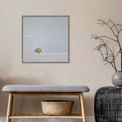 22" X 22" Solo Succulent By Rolf Endermann Framed Canvas Wall Art Gray Wash - Amanti Art -Home Furniture GUEST 09809f40 5ae0 4ffe 970a dc762b23adc2