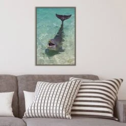 16" X 23" Dolphin In The Ocean By Keren Su Danita Delimont Framed Canvas Wall Art - Amanti Art -Home Furniture GUEST 1bf7ec29 bf2b 4c44 9842 685cbd0350e4