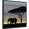 22" X 22" Savanna Elephant I By James Burghardt Framed Canvas Wall Art Black - Amanti Art -Home Furniture GUEST 21228453 4100 40a6 8771 e52b4e8134c3