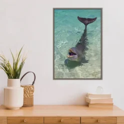 16" X 23" Dolphin In The Ocean By Keren Su Danita Delimont Framed Canvas Wall Art - Amanti Art -Home Furniture GUEST 295e2b41 30ab 413a 82e1 28110815e0ab
