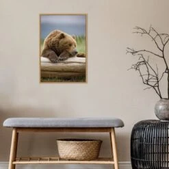 16" X 23" Bear Resting On A Beached Log By Paul Souders Danita Delimont Framed Canvas Wall Art Brown - Amanti Art -Home Furniture GUEST 3b89571e 2d9b 4ad0 8e3f fe05cfb364e4