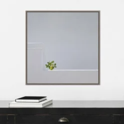 22" X 22" Solo Succulent By Rolf Endermann Framed Canvas Wall Art Gray Wash - Amanti Art -Home Furniture GUEST 4241cac6 08a1 4981 946f 7eb5ad72a5f4