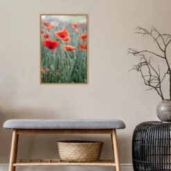 16" X 23" Poppies In Bloom By Brent Bergherm Danita Delimont Framed Canvas Wall Art - Amanti Art -Home Furniture GUEST 45272054 9cc0 40f1 af03 2b230222fdef
