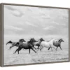 24" X 18" Horse Run I By PH Burchett Framed Canvas Wall Art - Amanti Art -Home Furniture GUEST 45e79e90 c8eb 419c 9d58 da6abcbd02b8