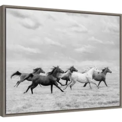 24" X 18" Horse Run I By PH Burchett Framed Canvas Wall Art - Amanti Art