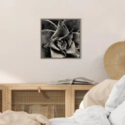 16" X 16" Seattle Succulents By Gary Horsfall Framed Canvas Wall Art - Amanti Art -Home Furniture GUEST 46fbe88a 2855 4ae6 991c 28561b64b908