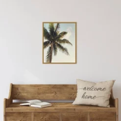 16" X 20" Coconut Palm By Olivia Joy Framed Canvas Wall Art - Amanti Art -Home Furniture GUEST 4bad1905 1db5 4083 b0bb adcc6c7e213e
