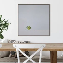 22" X 22" Solo Succulent By Rolf Endermann Framed Canvas Wall Art Gray Wash - Amanti Art -Home Furniture GUEST 503c2573 0d92 46a2 85f3 586a066bc7c5