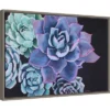 23" X 16" Abundance Succulent By Alana Clumeck Framed Canvas Wall Art - Amanti Art -Home Furniture GUEST 568a3e48 ca03 47b4 8808 9d85351acebc