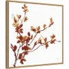 22" X 22" Colors Of The Fall IX By Anne Tavoletti Framed Canvas Wall Art Light Brown - Amanti Art -Home Furniture GUEST 5862882b c8bc 48eb 8a04 4643f2fa27e1