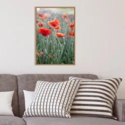 16" X 23" Poppies In Bloom By Brent Bergherm Danita Delimont Framed Canvas Wall Art - Amanti Art -Home Furniture GUEST 5936bd63 25e8 4c29 8552 30f8b0e82f83