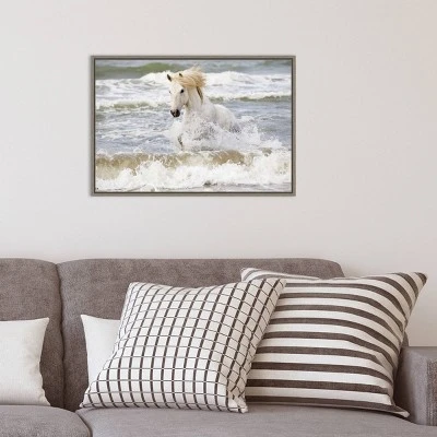 23" X 16" Camargue Horse In The Surf By Ellen Goff Danita Delimont Framed Canvas Wall Art - Amanti Art 9 23" X 16" Camargue Horse In The Surf By Ellen Goff Danita Delimont Framed Canvas Wall Art - Amanti Art - Image 7