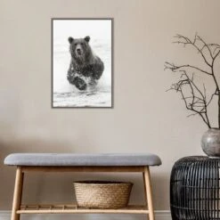16" X 23" Bear Fishing For Salmon By Adam Jones Danita Delimont Framed Canvas Wall Art Brown - Amanti Art -Home Furniture GUEST 66b2c902 a811 4a8b 94f1 fdffc4986ab4