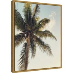 16" X 20" Coconut Palm By Olivia Joy Framed Canvas Wall Art - Amanti Art