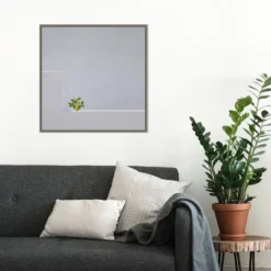 22" X 22" Solo Succulent By Rolf Endermann Framed Canvas Wall Art Gray Wash - Amanti Art -Home Furniture GUEST 76ada549 0a3d 4937 a29e 669a63ba2dbb