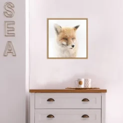 16" X 16" Satisfied Fox By Doris Reindl Framed Canvas Wall Art - Amanti Art -Home Furniture GUEST 89390550 3a37 42ff 88ca 5c168e6e1176