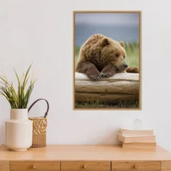 16" X 23" Bear Resting On A Beached Log By Paul Souders Danita Delimont Framed Canvas Wall Art Brown - Amanti Art -Home Furniture GUEST 8b797265 a787 4a44 ba1c ebf9c2c3e0ed