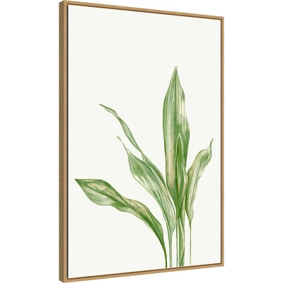 22" X 33" Cast Iron Plant II By And Slyp Errico Framed Canvas Wall Art Light Brown - Amanti Art 3 22" X 33" Cast Iron Plant II By And Slyp Errico Framed Canvas Wall Art Light Brown - Amanti Art