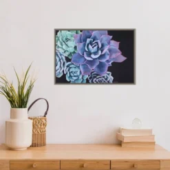 23" X 16" Abundance Succulent By Alana Clumeck Framed Canvas Wall Art - Amanti Art -Home Furniture GUEST a6da9941 0e45 4cc0 8bfe cdd0dc1e313a