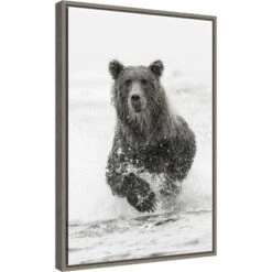 16" X 23" Bear Fishing For Salmon By Adam Jones Danita Delimont Framed Canvas Wall Art Brown - Amanti Art