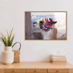 23" X 16" Llama With Colorful Hat By Jutta Riegel Danita Delimont Framed Canvas Wall Art - Amanti Art -Home Furniture GUEST aa6e0541 fe87 4b38 bfac 88874aa9297e