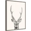 18" X 24" Animal Mug IV Deer By Victoria Borges Framed Canvas Wall Art Gray - Amanti Art -Home Furniture GUEST b0368038 0050 4144 b380 421f9e7061ae