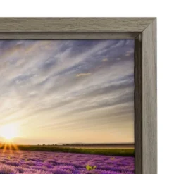 24"x18" Lavender Sunrise Framed Canvas Wall Art - Amanti Art -Home Furniture GUEST b2500ffc b1c5 499a 94ff ac454b6465ce
