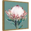 16" X 16" Blooming King Protea By Isabelle Z Framed Canvas Wall Art - Amanti Art -Home Furniture GUEST b534655d ada4 4ac2 adb5 0df4e3a17c82