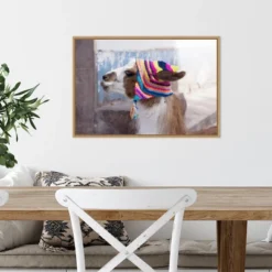 23" X 16" Llama With Colorful Hat By Jutta Riegel Danita Delimont Framed Canvas Wall Art - Amanti Art -Home Furniture GUEST bba55aa5 2590 4b20 a0c1 9e5e984e830e