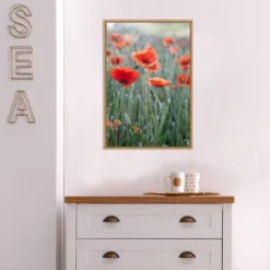 16" X 23" Poppies In Bloom By Brent Bergherm Danita Delimont Framed Canvas Wall Art - Amanti Art -Home Furniture GUEST bc020e01 b27e 4a94 9655 83700032c59a