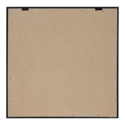 16" X 16" Succulent Simplicity I Neutral Framed Canvas Wall Art - Amanti Art -Home Furniture GUEST cab13ea7 0d9e 4d6b b904 e3b28b3dbbd1