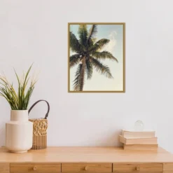 16" X 20" Coconut Palm By Olivia Joy Framed Canvas Wall Art - Amanti Art -Home Furniture GUEST cf904d93 6224 4dce a6b3 c227347ddf64