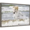 23" X 16" Camargue Horse In The Surf By Ellen Goff Danita Delimont Framed Canvas Wall Art - Amanti Art