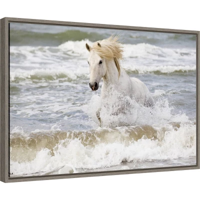 23" X 16" Camargue Horse In The Surf By Ellen Goff Danita Delimont Framed Canvas Wall Art - Amanti Art 3 23" X 16" Camargue Horse In The Surf By Ellen Goff Danita Delimont Framed Canvas Wall Art - Amanti Art