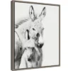 16" X 20" Donkey Portrait V By PH Burchett Framed Canvas Wall Art - Amanti Art -Home Furniture GUEST ec24eaff 1c06 4be9 be64 8bf8e21168f5