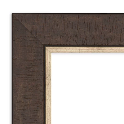 Amanti Art Lined Bronze Picture Frame 3 Amanti Art Lined Bronze Picture Frame