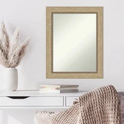 23" X 29" Non-Beveled Astor Champagne Wall Mirror - Amanti Art -Home Furniture GUEST f1e26f5c 02bc 46a3 b998 e22c6145a110