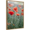 16" X 23" Poppies In Bloom By Brent Bergherm Danita Delimont Framed Canvas Wall Art - Amanti Art -Home Furniture GUEST f3f4b39f b65e 40bb 8359 2c38fabe62d6