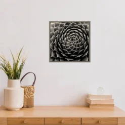 16" X 16" Succulent By Gary Horsfall Framed Canvas Wall Art - Amanti Art -Home Furniture GUEST f674fe22 7da5 41a9 a480 50d8251dce05